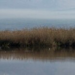 Alternative Power Sources