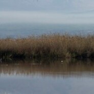 Alternative Power Sources